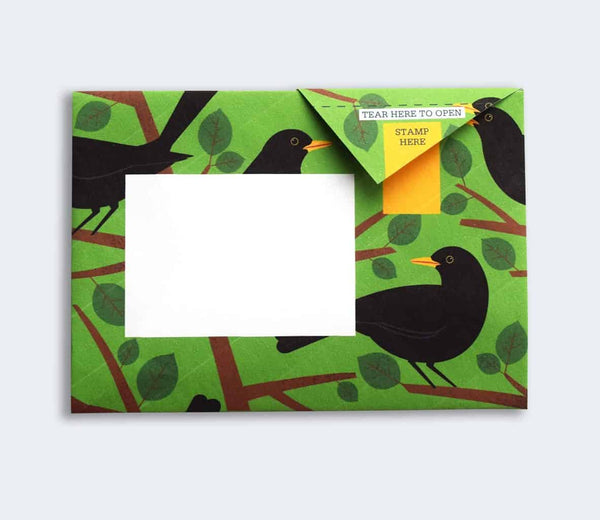Dawn Chorus Pigeon Letter Paper 6-pack