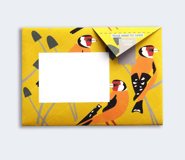 Dawn Chorus Pigeon Letter Paper 6-pack