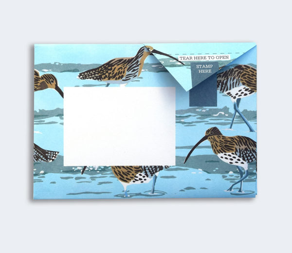 Hebridean Pigeon Letter Paper 6-pack