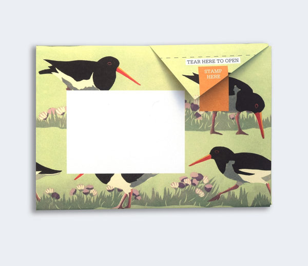 Hebridean Pigeon Letter Paper 6-pack