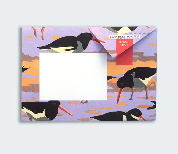 Hebridean Pigeon Letter Paper 6-pack