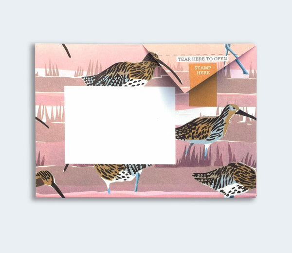Hebridean Pigeon Letter Paper 6-pack