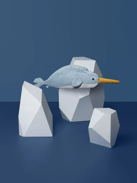 Narwhal Case