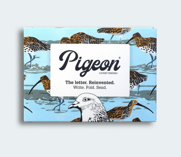 Hebridean Pigeon Letter Paper 6-pack