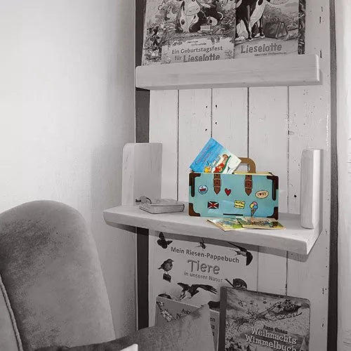 Suitcase Storage Box