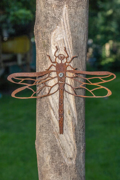 Dragonfly Wall Hanger