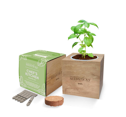 Desktop Cube Gardens Basil