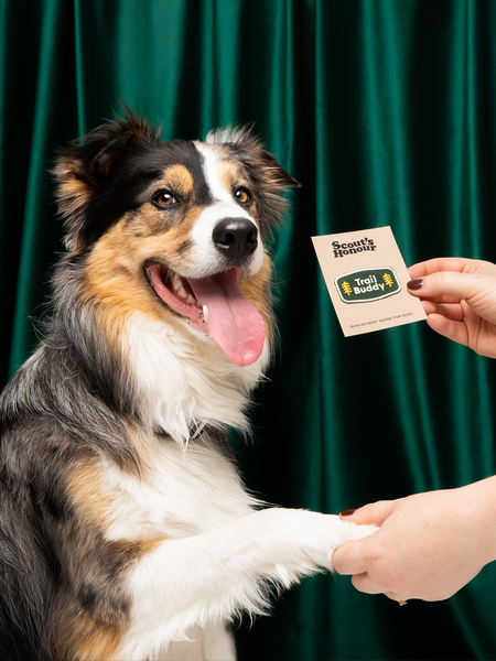 Trail Buddy iron-on patch for pets