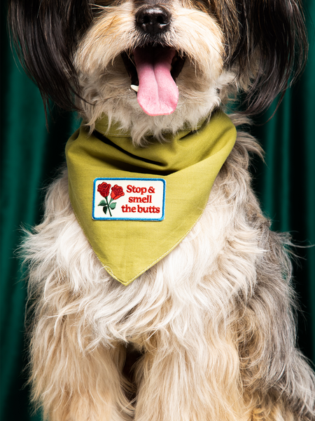 Stop & Smell The Butts iron-on patch for pets