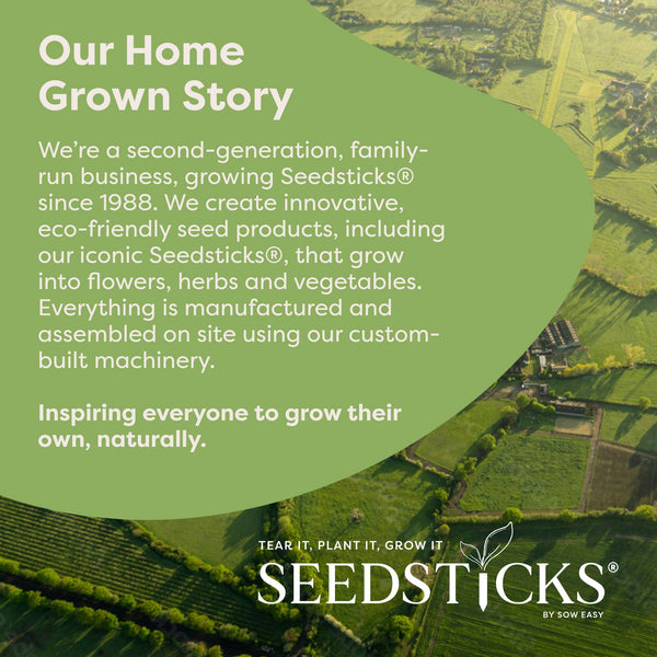 Dragonfly Seedsticks®