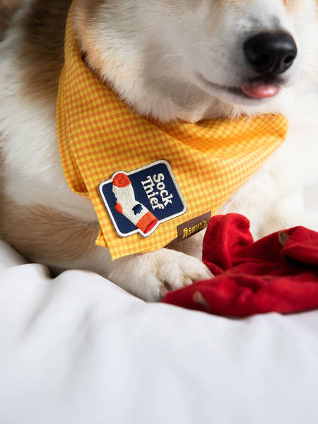 Sock Thief iron-on patch for pets