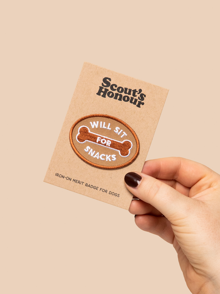 Will Sit For Snacks iron-on patch for pets