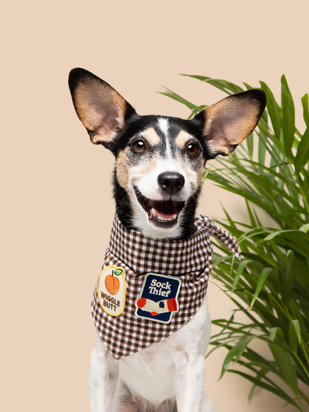 Wiggle Butt iron-on patch for pets
