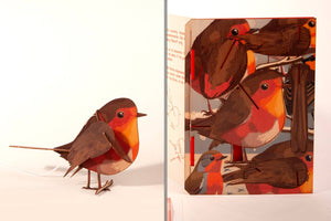 Robin 3D decorative greeting card