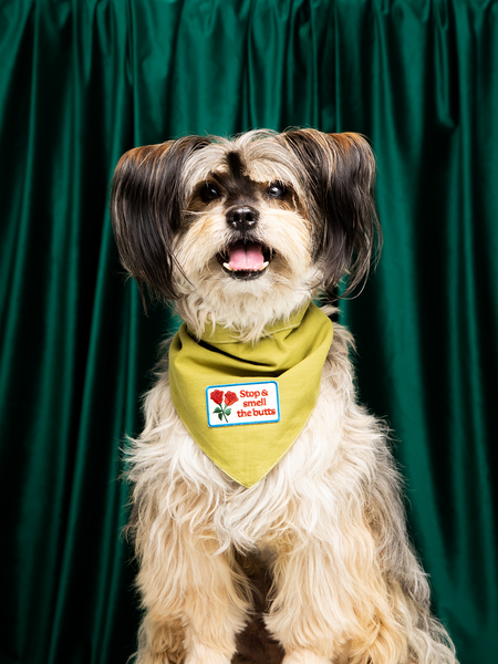Stop & Smell The Butts iron-on patch for pets
