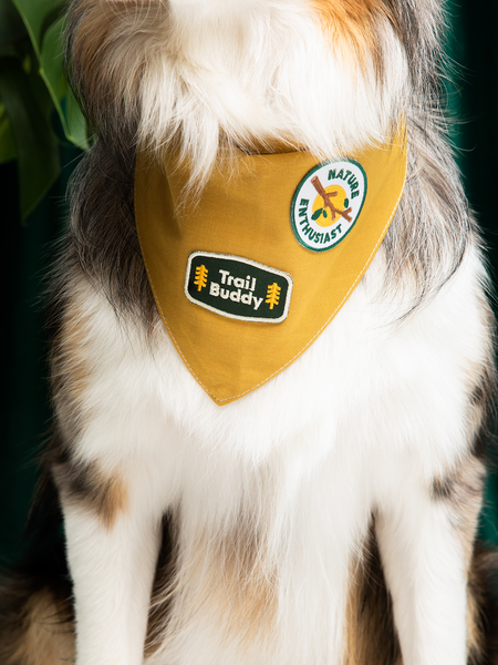 Trail Buddy iron-on patch for pets