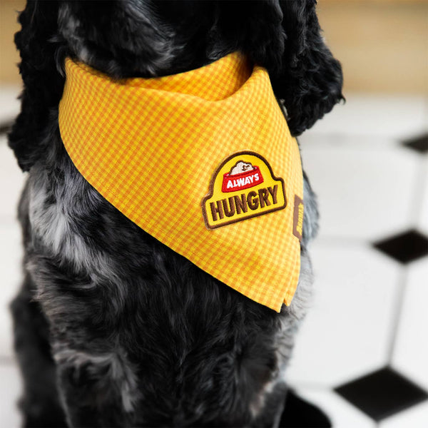 Always Hungry iron-on patch for pets