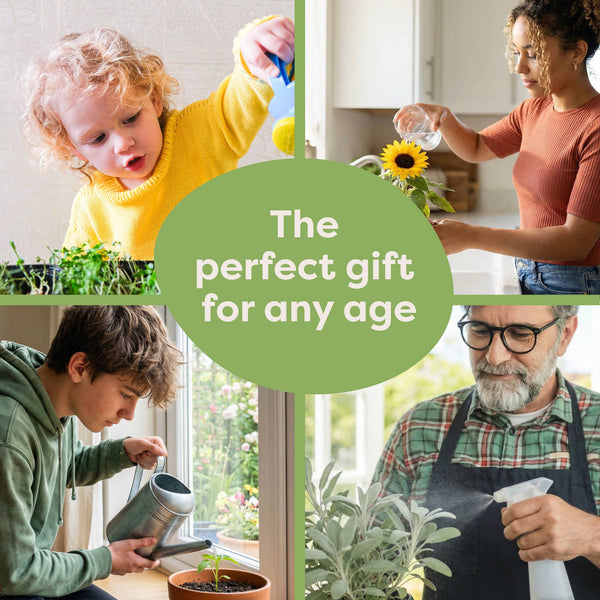 Caterpillar Seedsticks®