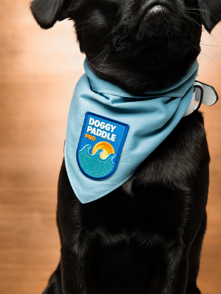 Doggy Paddle Pro iron-on patch for dogs