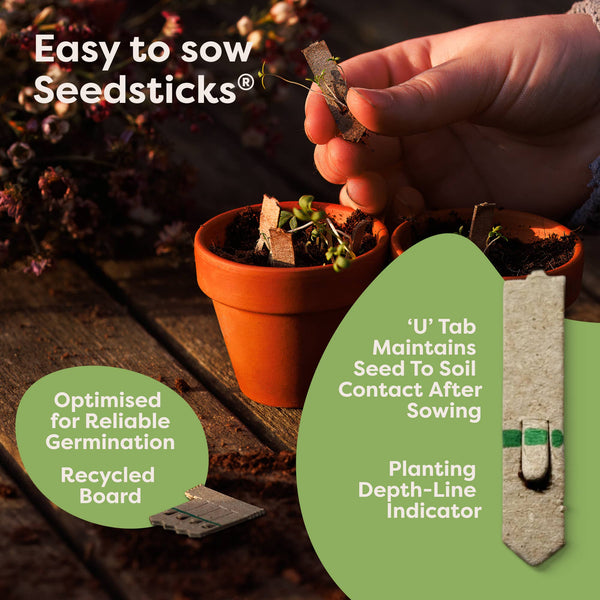 Highland Cow Seedsticks®