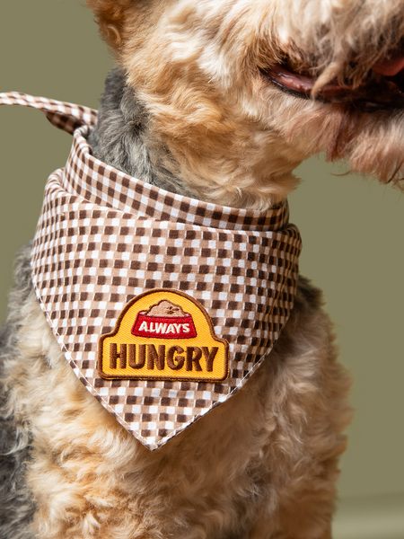 Always Hungry iron-on patch for pets