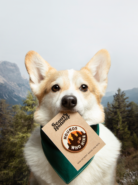 Hounds Who Hike iron-on patch for dogs