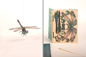 Dragonfly 3D decorative greeting card