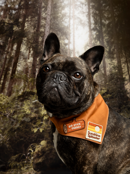 Big Stick Energy iron-on patch for pets