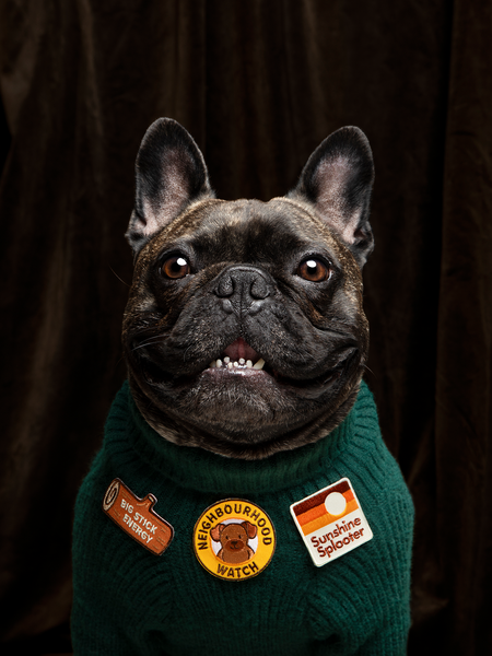 Big Stick Energy iron-on patch for pets