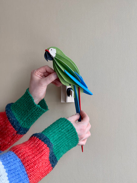 Parrot 26cm - Choice of Colour