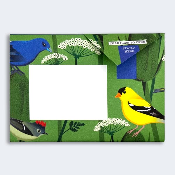 Carnival of Colour Pigeon Letter Paper 6-pack