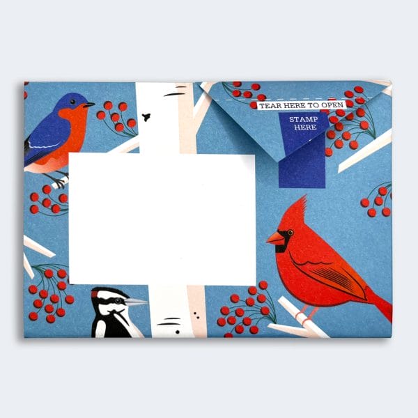 Carnival of Colour Pigeon Letter Paper 6-pack