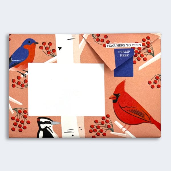 Carnival of Colour Pigeon Letter Paper 6-pack