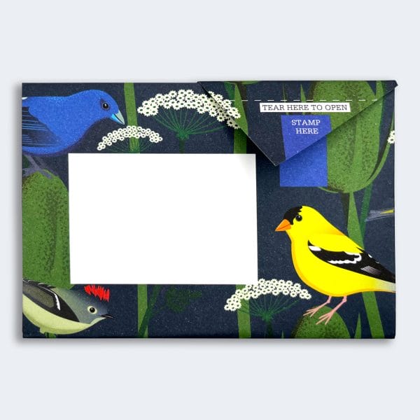 Carnival of Colour Pigeon Letter Paper 6-pack