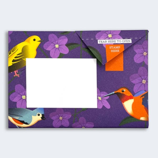 Carnival of Colour Pigeon Letter Paper 6-pack