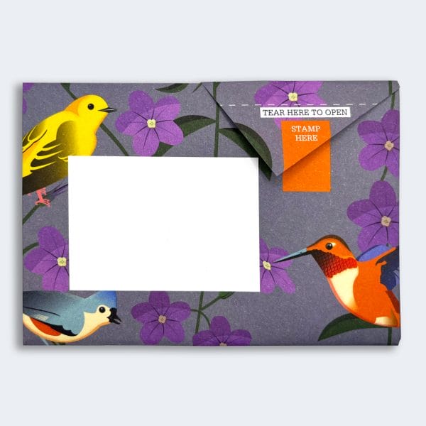 Carnival of Colour Pigeon Letter Paper 6-pack