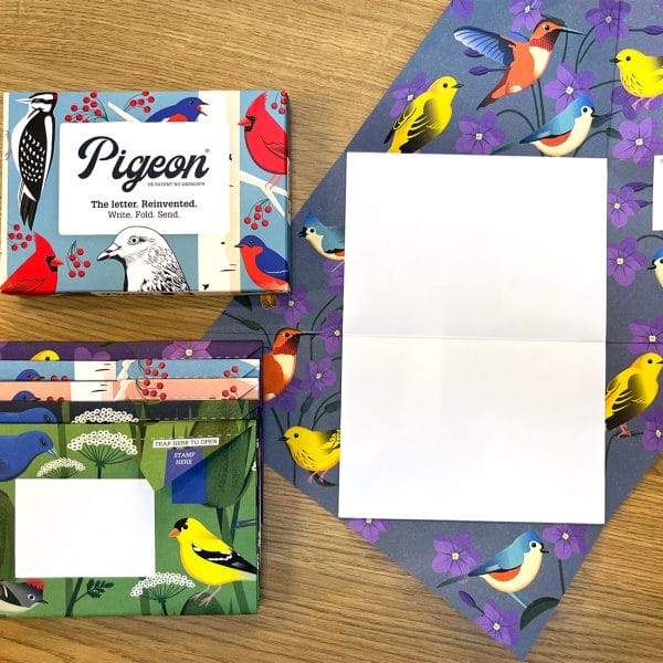 Carnival of Colour Pigeon Letter Paper 6-pack