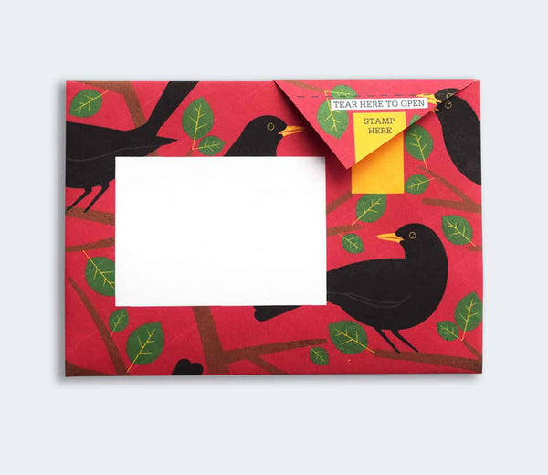 Dawn Chorus Pigeon Letter Paper 6-pack