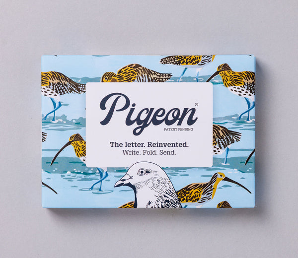 Hebridean Pigeon Letter Paper 6-pack