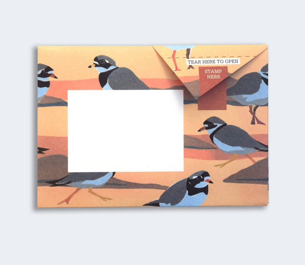Hebridean Pigeon Letter Paper 6-pack