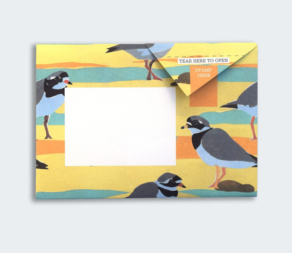Hebridean Pigeon Letter Paper 6-pack