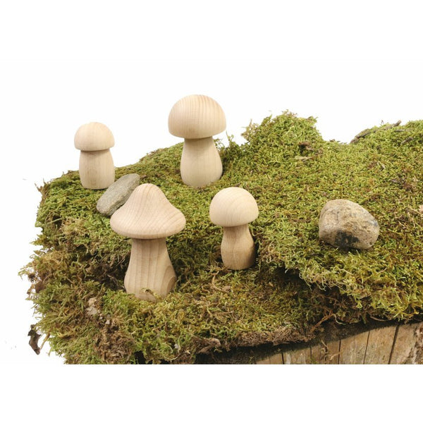 Big Wooden Mushroom
