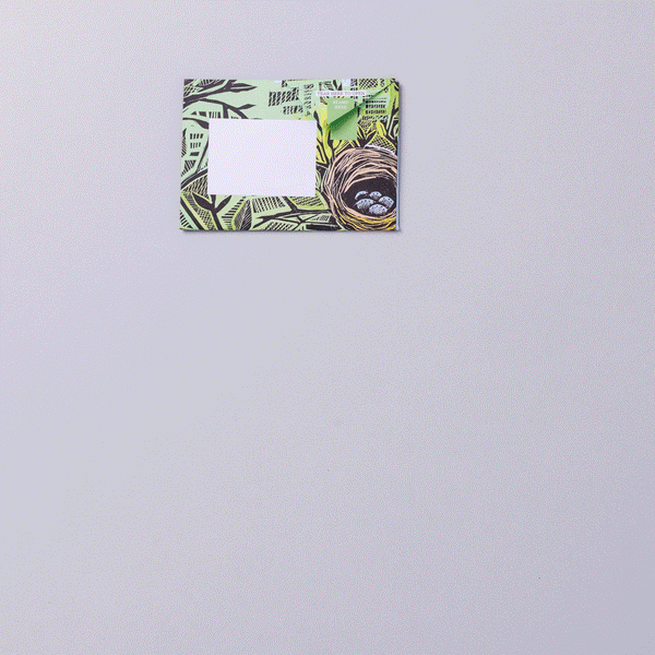 Wonderfully Wild Pigeon Letter Paper 6-pack