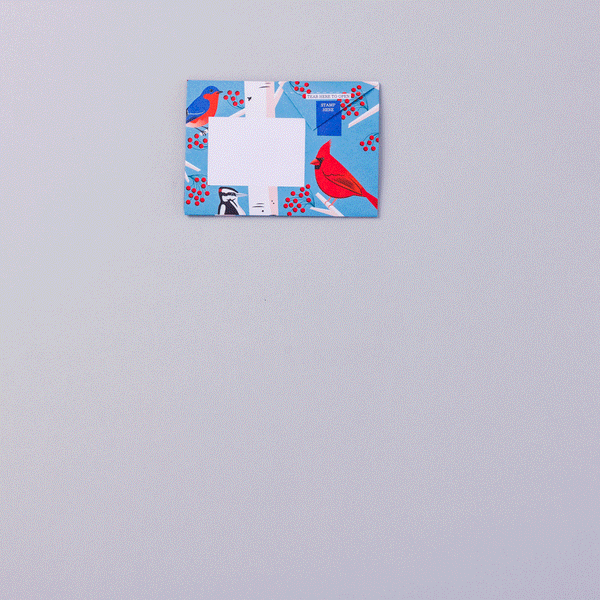 Carnival of Colour Pigeon Letter Paper 6-pack