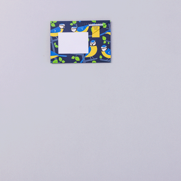 Dawn Chorus Pigeon Letter Paper 6-pack