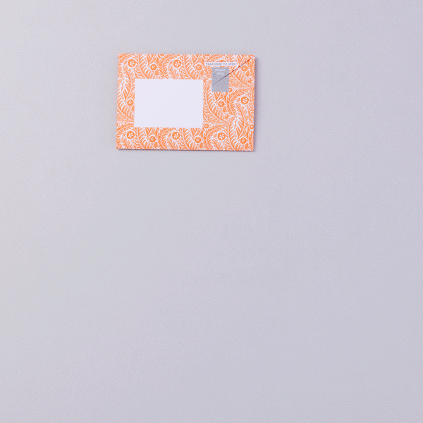 Nature Study Pigeon Letter Paper 6-pack