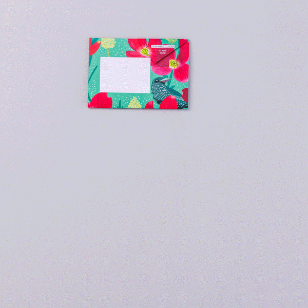 Dusk to Dawn Pigeon Letter Paper 6-pack