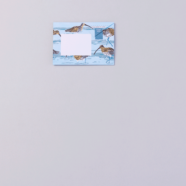 Hebridean Pigeon Letter Paper 6-pack