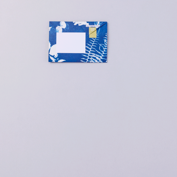 Apothecary Pigeon Letter Paper 6-pack