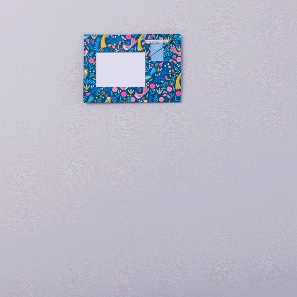 Magical Menagerie Pigeon Letter Paper 6-pack